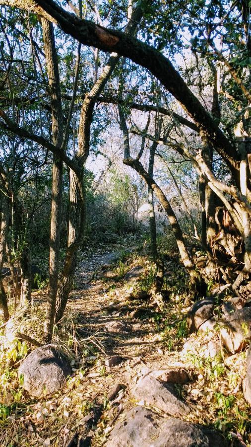 Otters' Haunt Eco Retreat Affittacamere Parys Esterno foto